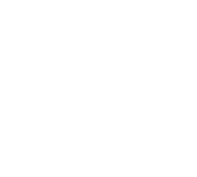 Logo UANE